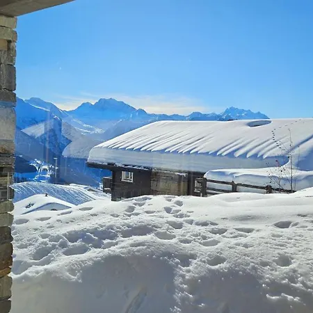 Nachtigall Eg Bettmeralp