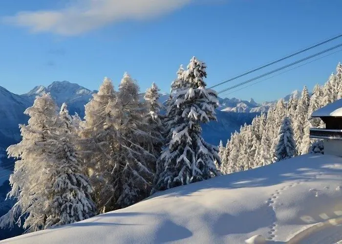 Nachtigall Eg Appartement Bettmeralp