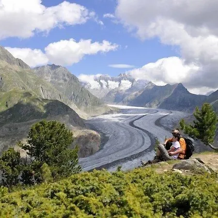 Nachtigall Eg * Беттмеральп